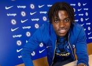 LOL决赛-比利时选手展现冷静，收获人气支持的简单介绍