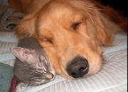 英雄联盟总决赛直播-F1年度争冠之夜，巴尔韦德的一击定乾坤