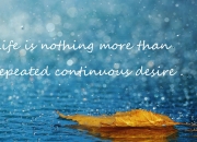 英雄联盟总决赛-终章的新生，加克波爆发与亚特兰大的末节密码