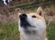 英雄联盟总决赛赛程-姆巴佩穿越火线，一场不可能的南半球压制级演出