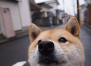 英雄联盟总决赛门票-异时空战场，当新疆铁蹄撞上迈阿密烈焰，伦纳德用沉默掌控时间