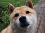 LOL赛事-密尔沃基的翅膀，当2023年老鹰的一胜，为2024年的字母哥装上羽翼