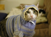 英雄联盟总决赛直播-城市双线战争，从德甲争冠到深圳击败篮网，解码体育竞争的胜负辩证法