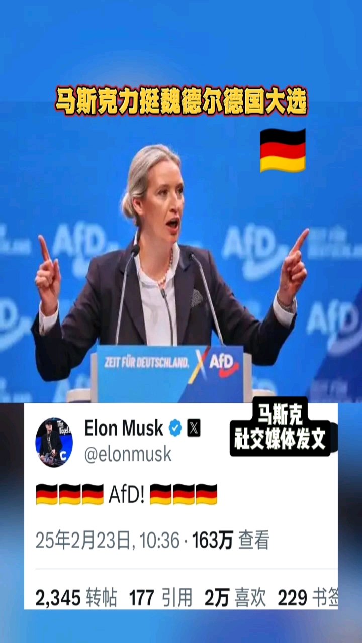 德国球员大联盟获得广泛关注 德国球员大联盟获得广泛关注