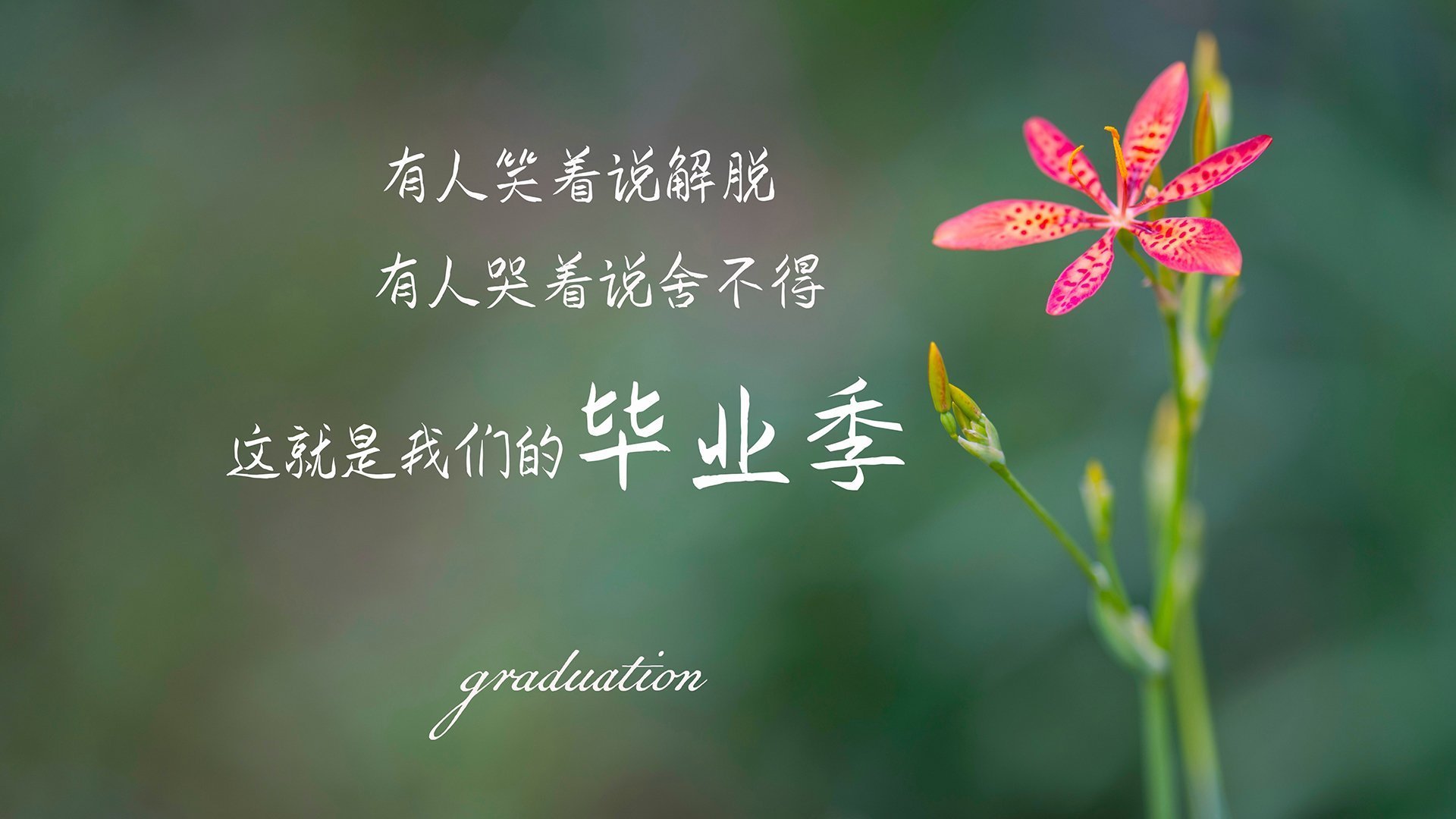 双城记,当萨拉赫点燃安菲尔德,尼日利亚意志斩落巴斯克雄狮