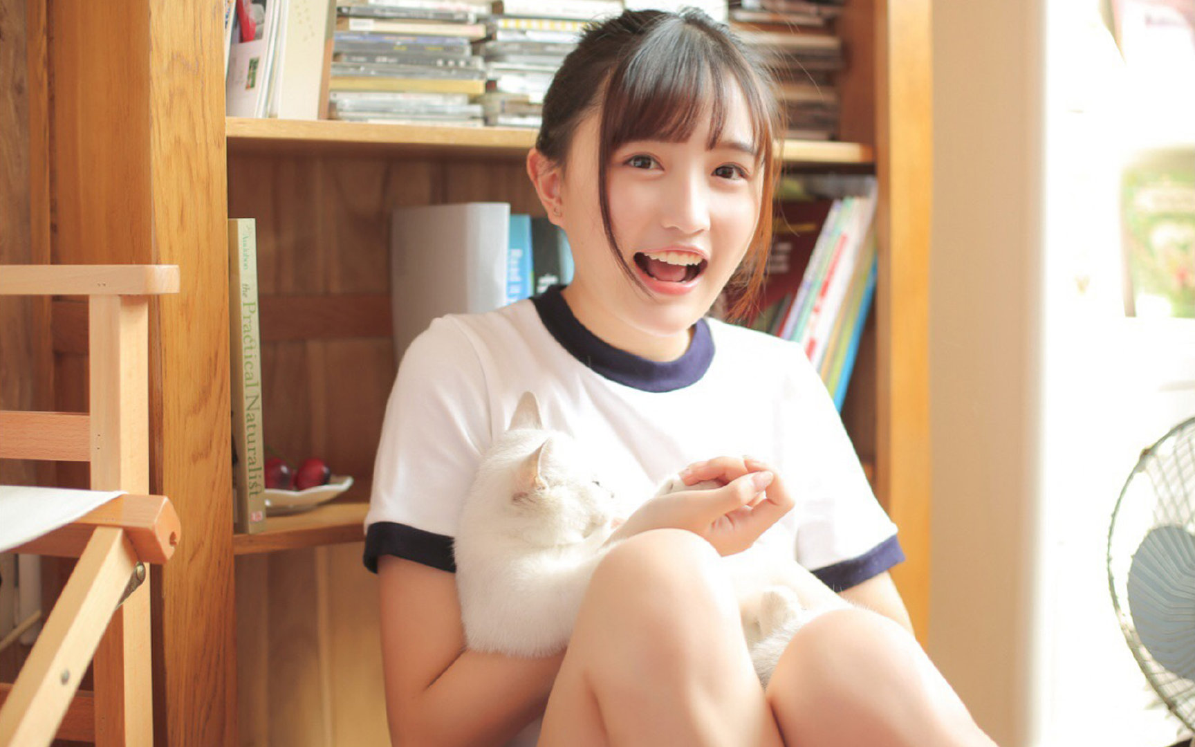 非洲雄鹰撼世,南美猛虎称雄,尼日利亚淘汰荷兰创历史,努涅斯意甲焦点战独揽风云