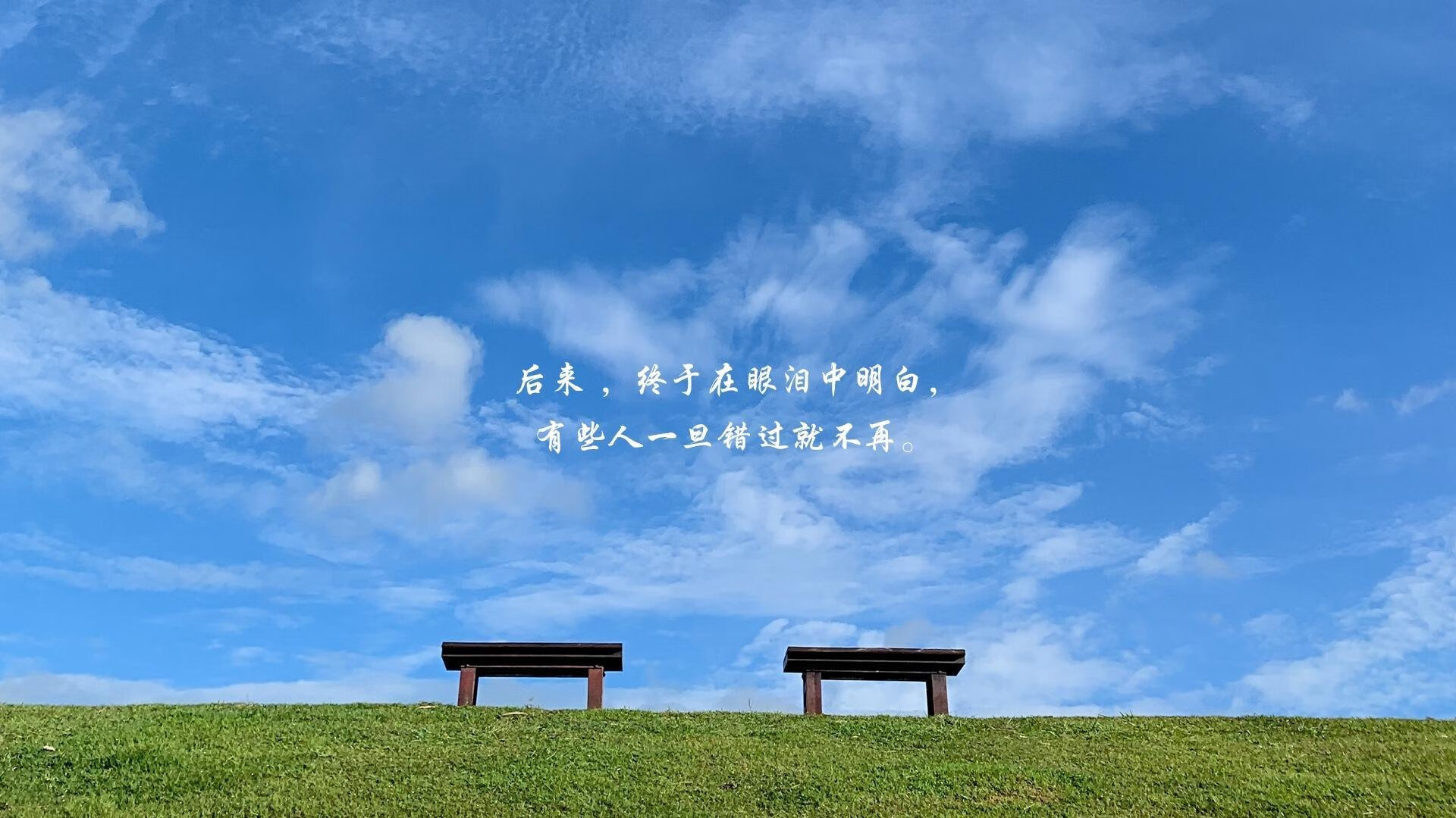 时光之隙,迪马利亚的爆发与新西兰足球的悬念终结