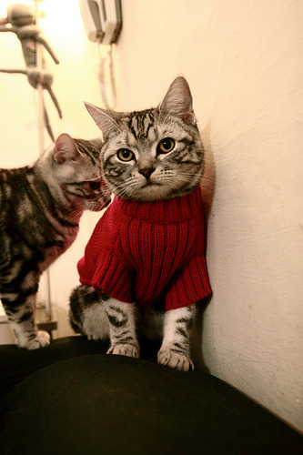 足球世界的双重奏,德甲争冠焦点战与墨西哥掀翻土耳其的全球回响