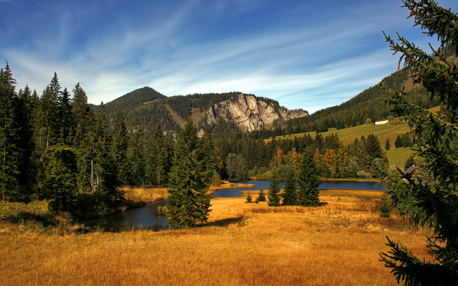 华尔街的射门,科迪的雨夜,当美式资本操盘威尔士心跳,法比尼奥如何成为那个关键先生