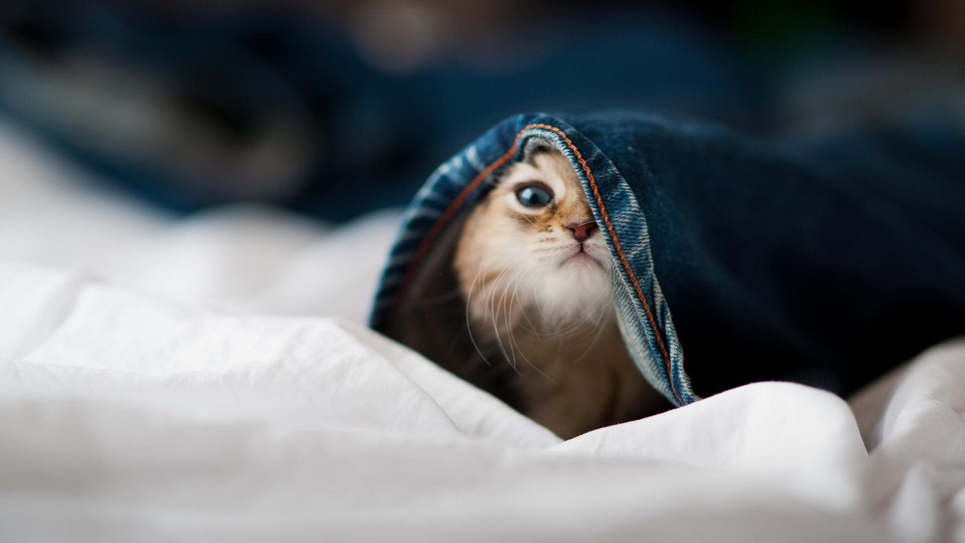 当银河战舰遭遇铁壁,本泽马唯一一剑,斩落顽敌加纳