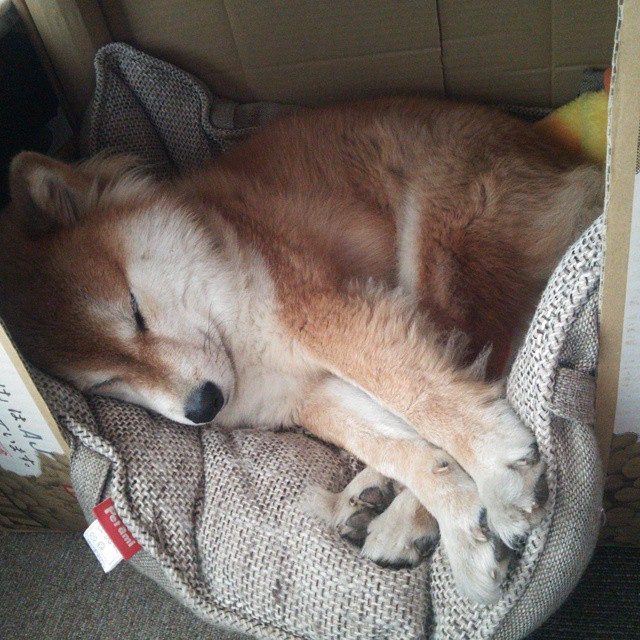 文明的冲突与绿茵的答案,当格纳布里爆发,埃及强行终结韩国