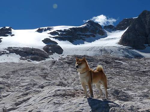定乾坤！维尼修斯一节风暴掀起，墨西哥力擒阿根廷