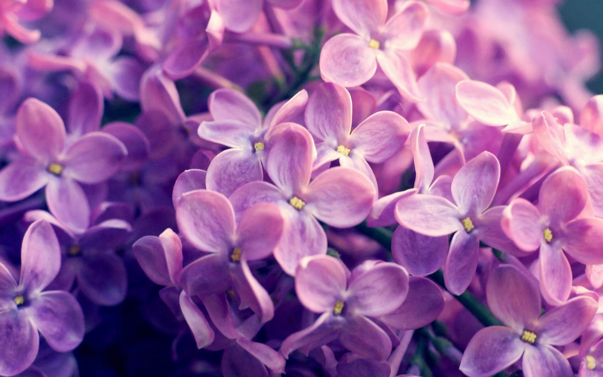 破壁者之夜,卡拉斯科的刻度与曼城的钢铁洪流