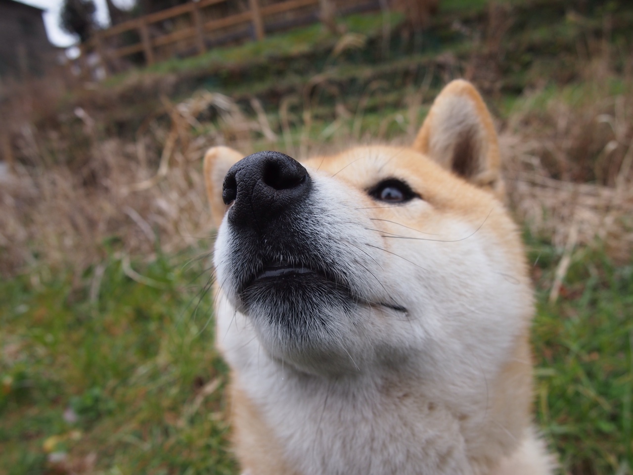 关键战破壁，西亚卡姆一人凿穿湖人防线