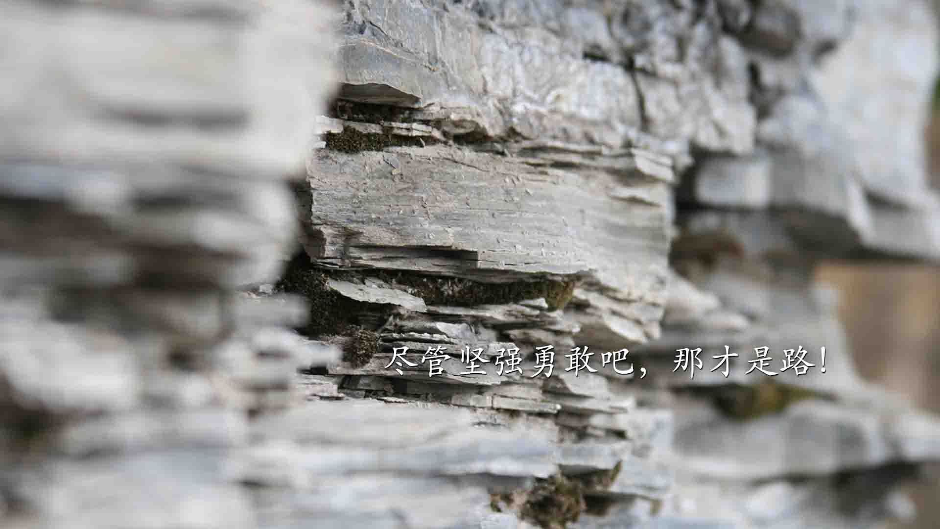 唯一的中场大师，莫德里奇闪耀2026世界杯，比利时大胜丹麦背后的控制哲学