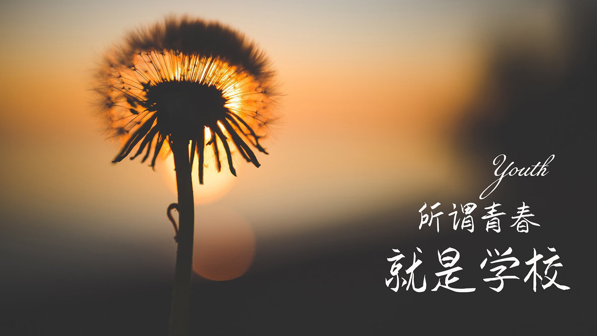孤注一掷的铁壁,2026世界杯C组,奥地利如何用防守反击压制哥伦比亚,孙兴慜完成致命一击